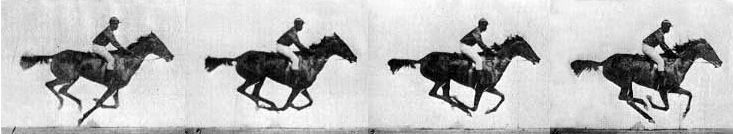 Фото бегущей лошади Эдварда Мейбриджа