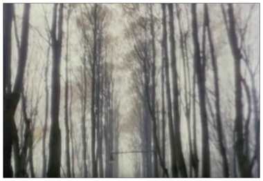 Кадр из фильма Смиренное кладбище
